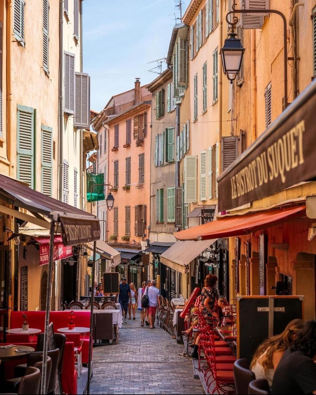 Location Vacances T3 A Cannes Dış mekan fotoğraf